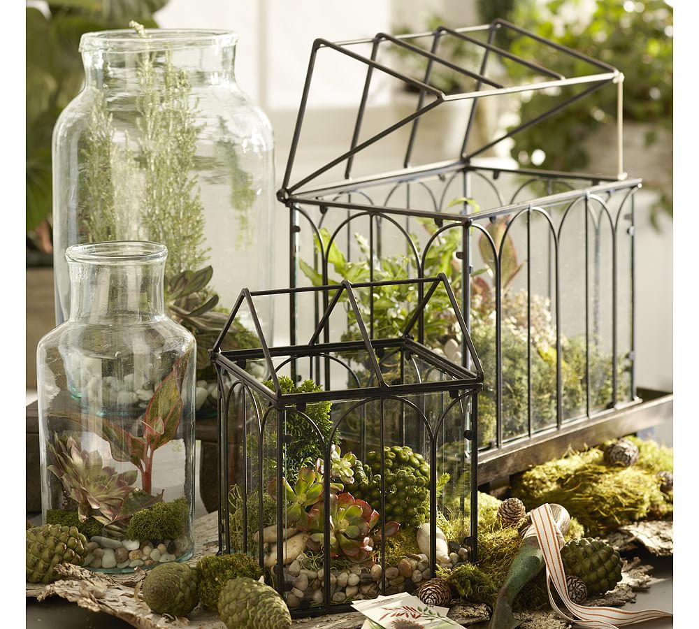 Wire Terrariums Pottery Barn