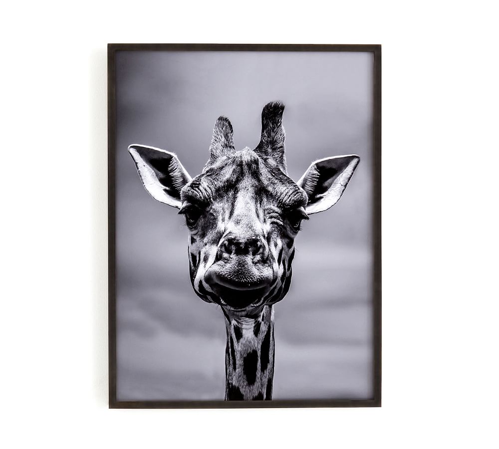 Giraffe Framed Print Pottery Barn