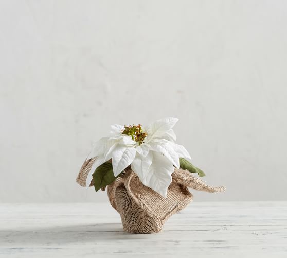 Faux Potted White Poinsettia Artificial Flowers Pottery Barn