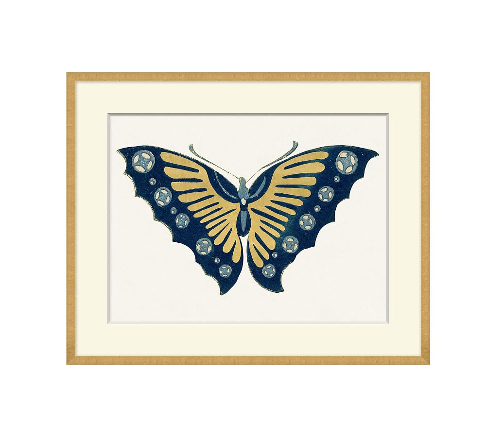 Blue & Gold Butterfly Framed Prints Pottery Barn