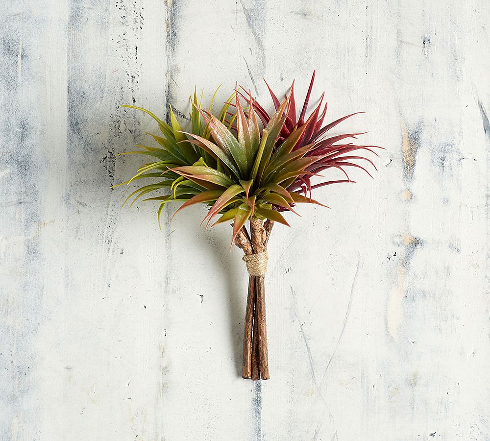 Faux Tillandsia Air Plant Pottery Barn