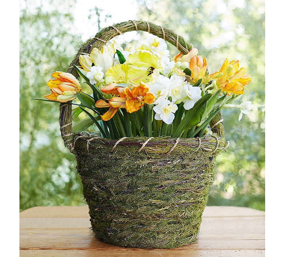 Green Moss Basket Pottery Barn