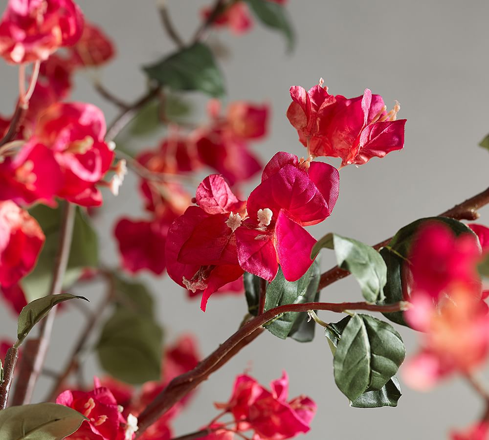 Faux Potted Bougainvillea Tree Pottery Barn