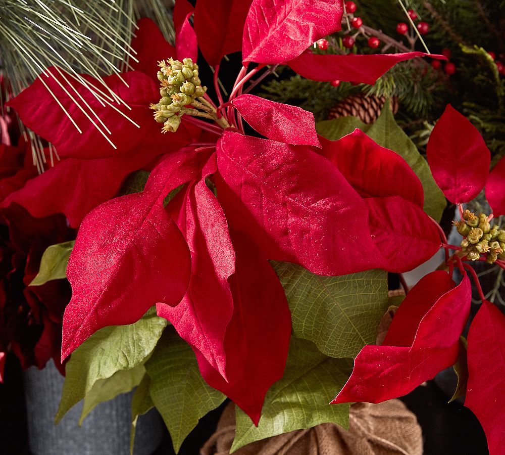 Faux Potted Red Poinsettia | Artificial Flowers | Pottery Barn