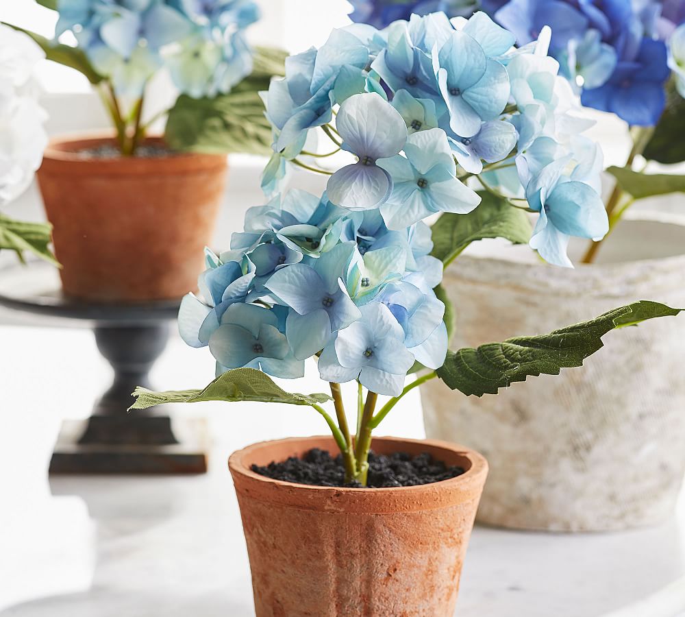 Faux Potted Hydrangea Light Blue Pottery Barn