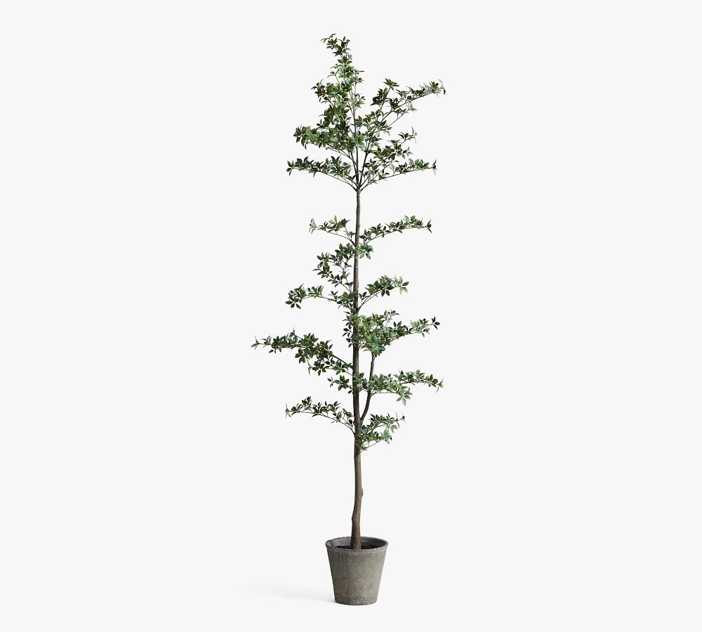 Faux Black Olive Tree Pottery Barn
