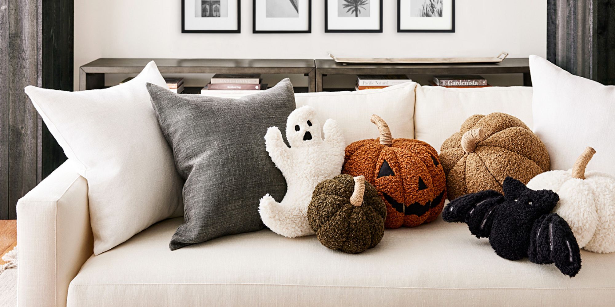 Cozy Pumpkin Pillows Pottery Barn