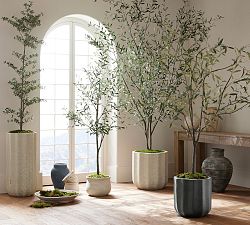 Faux Potted Olive Trees