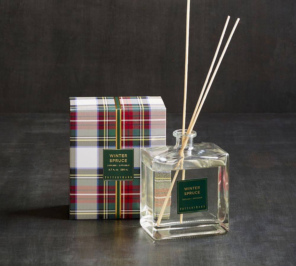 Winter Spruce Scent Collection | Pottery Barn