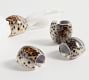 Tiger Cowrie Shell Napkin Rings - Set of 4 | Pottery Barn
