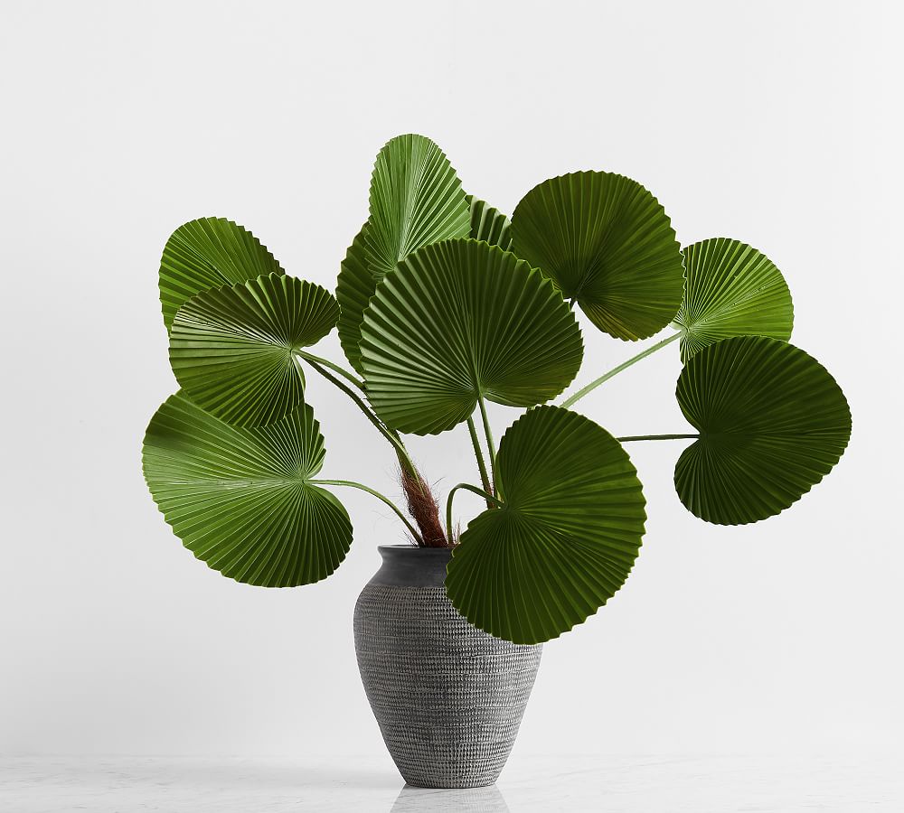 Faux Fanned Palm Tree Branch Pottery Barn