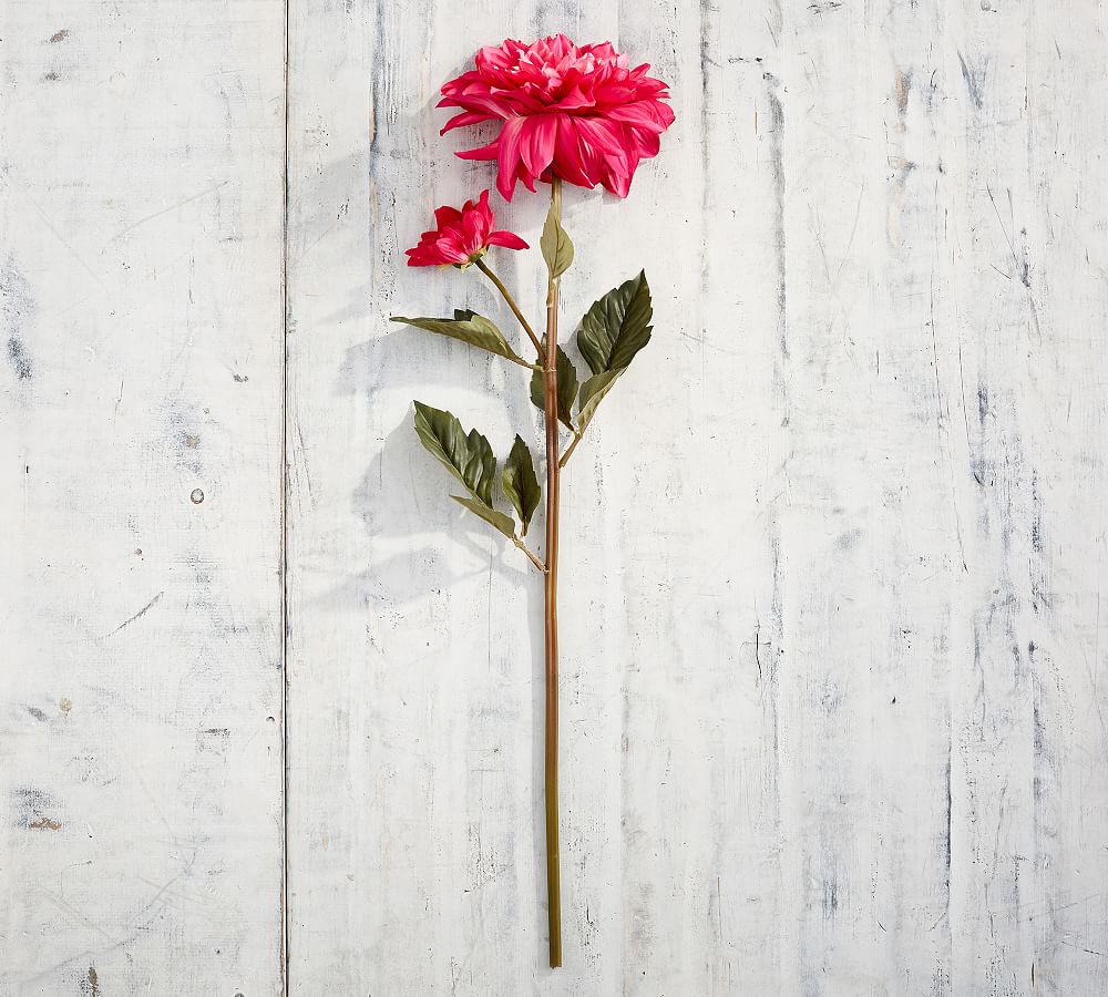 Faux Dinner Plate Dahlia Stems | Pottery Barn