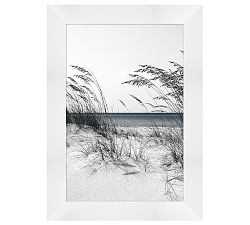 Serene Sea Oats Framed Print