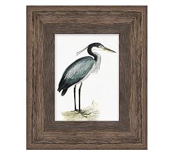 Coastal Heron Framed Prints