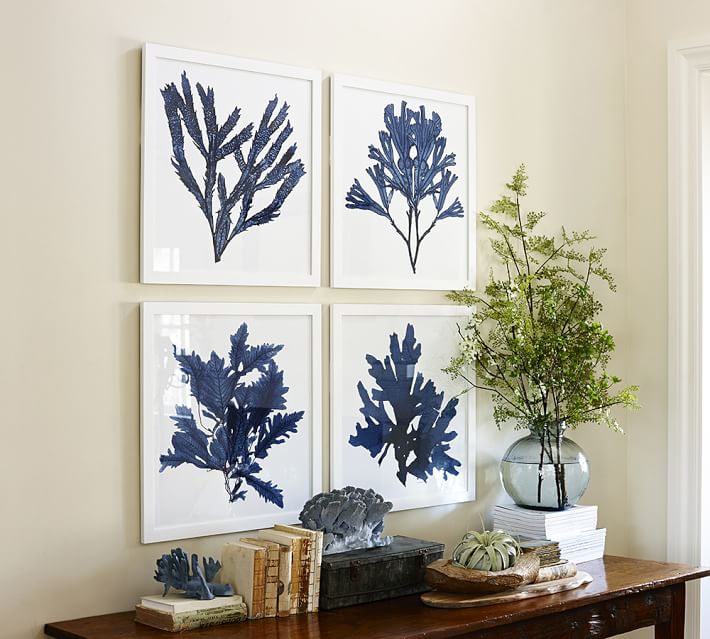 framed coral prints