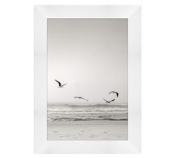 Black & White Beach Flight Framed Print