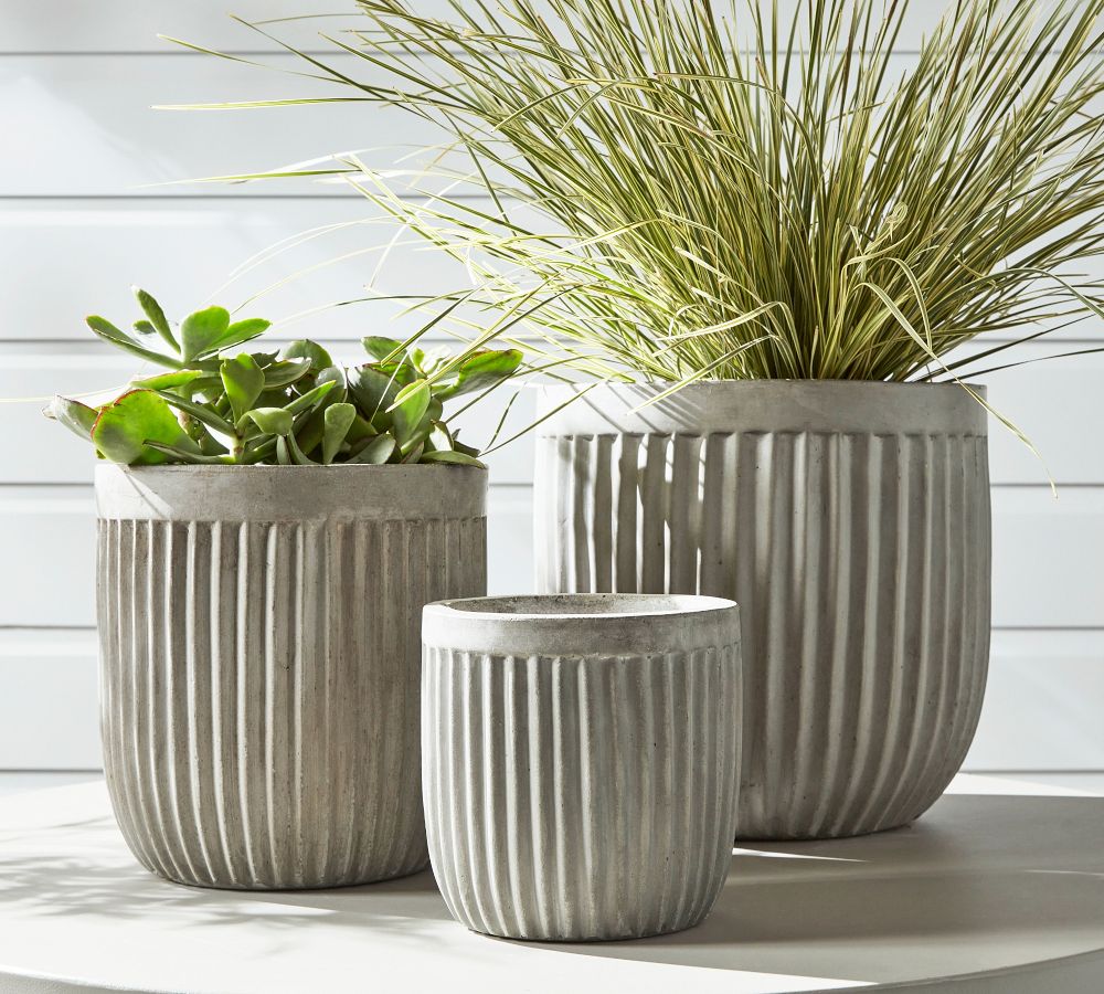 Concrete Fluted Planters | Pottery Barn