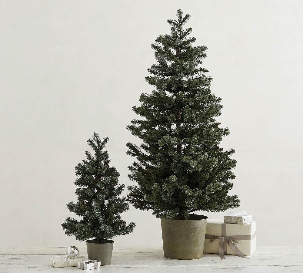 Pre-Lit Potted Faux Blue Spruce Trees | Pottery Barn