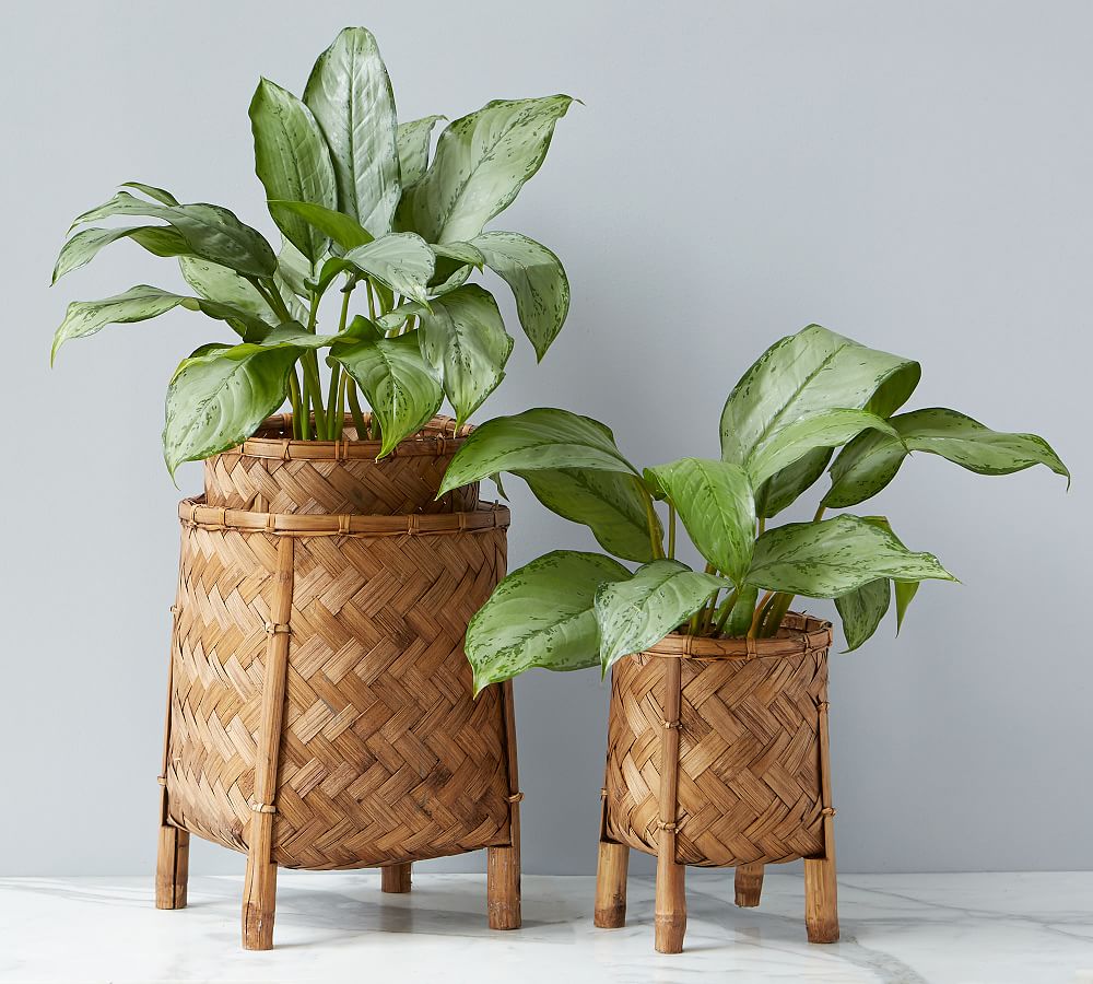 Woven Outdoor Planters, Set of 3 | Pottery Barn