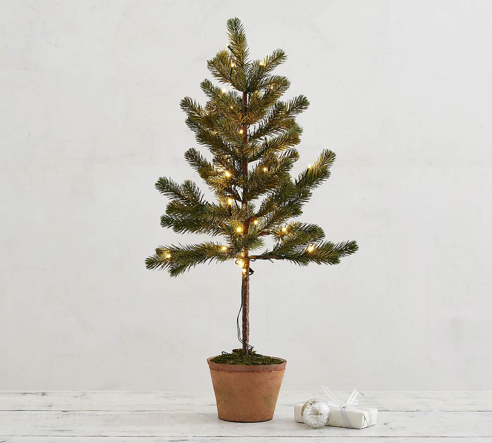 PreLit Faux Potted Pine Trees Pottery Barn