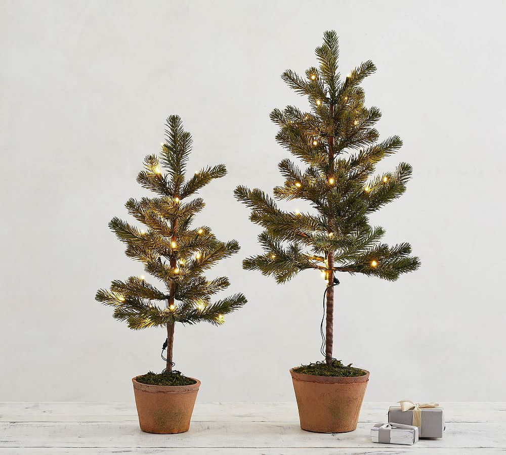 PreLit Faux Potted Pine Trees Pottery Barn