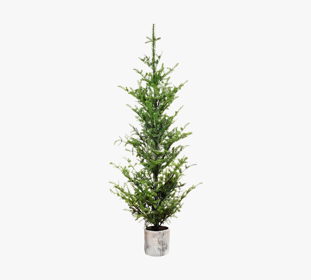 Faux Potted Pine Tree Pottery Barn