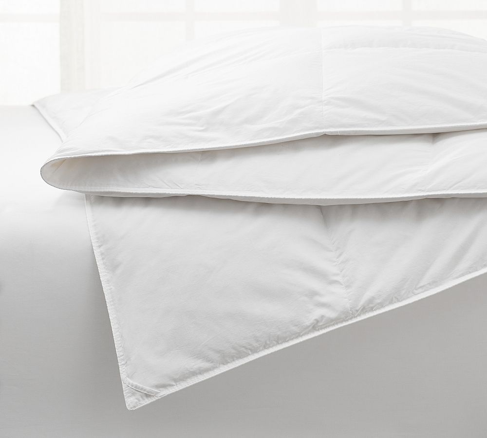 Canadian Hutterite 850FP White Goose Down Duvet Insert | Pottery Barn