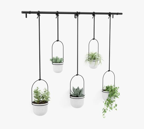 Hanging Wall Planters Set of 5 Pottery Barn