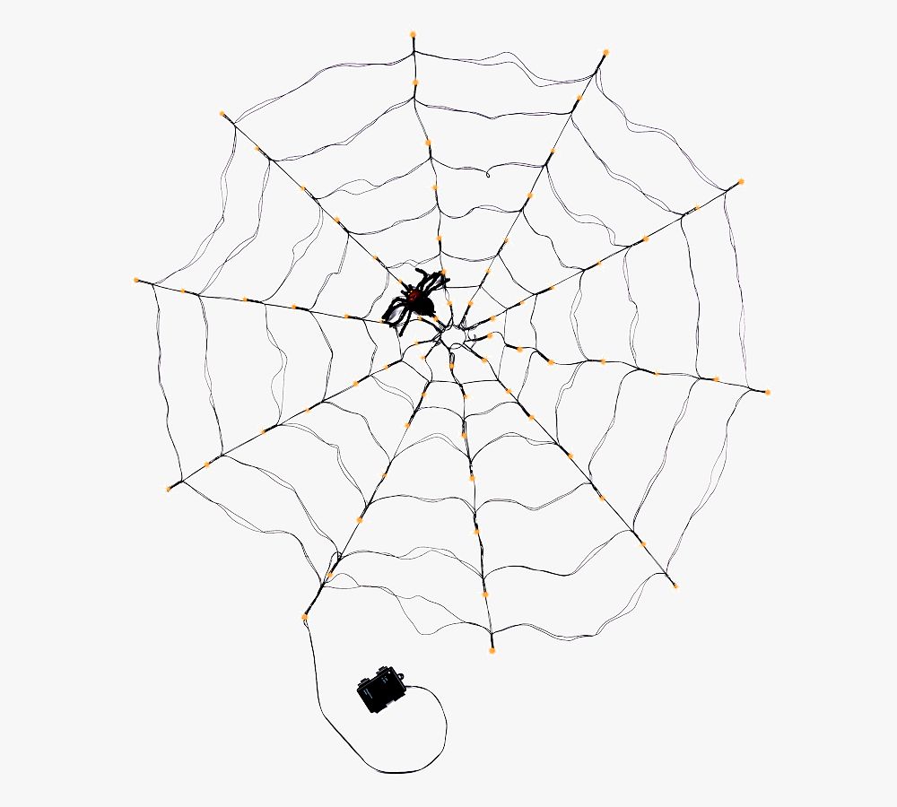 Lit Black & Orange Spider Web | Pottery Barn