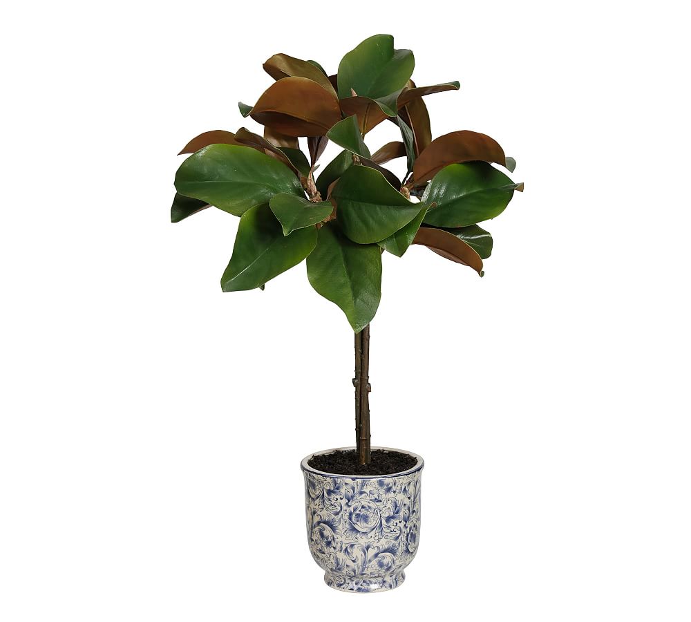 Faux Potted Magnolia Leaves Tree, 24" Pottery Barn