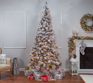 Pre-Lit Flocked Boise Pine Faux Christmas Trees | Pottery Barn