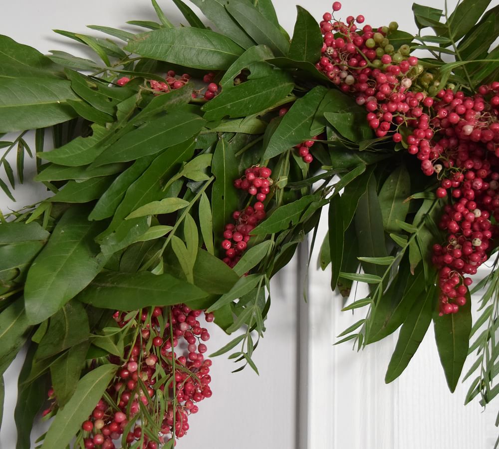 Fresh Bay Leaf & Pepperberry Garland | Pottery Barn