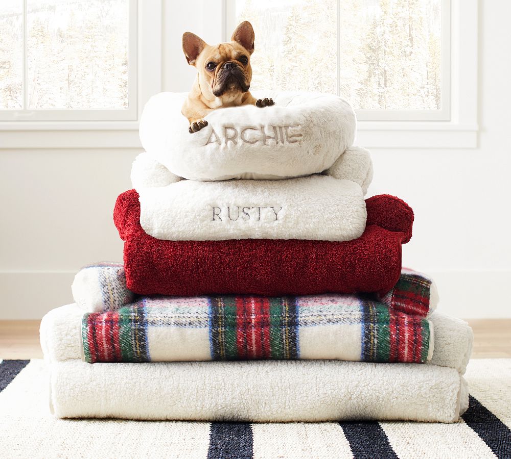 3-in-1 Pet Bed Collection | Pottery Barn