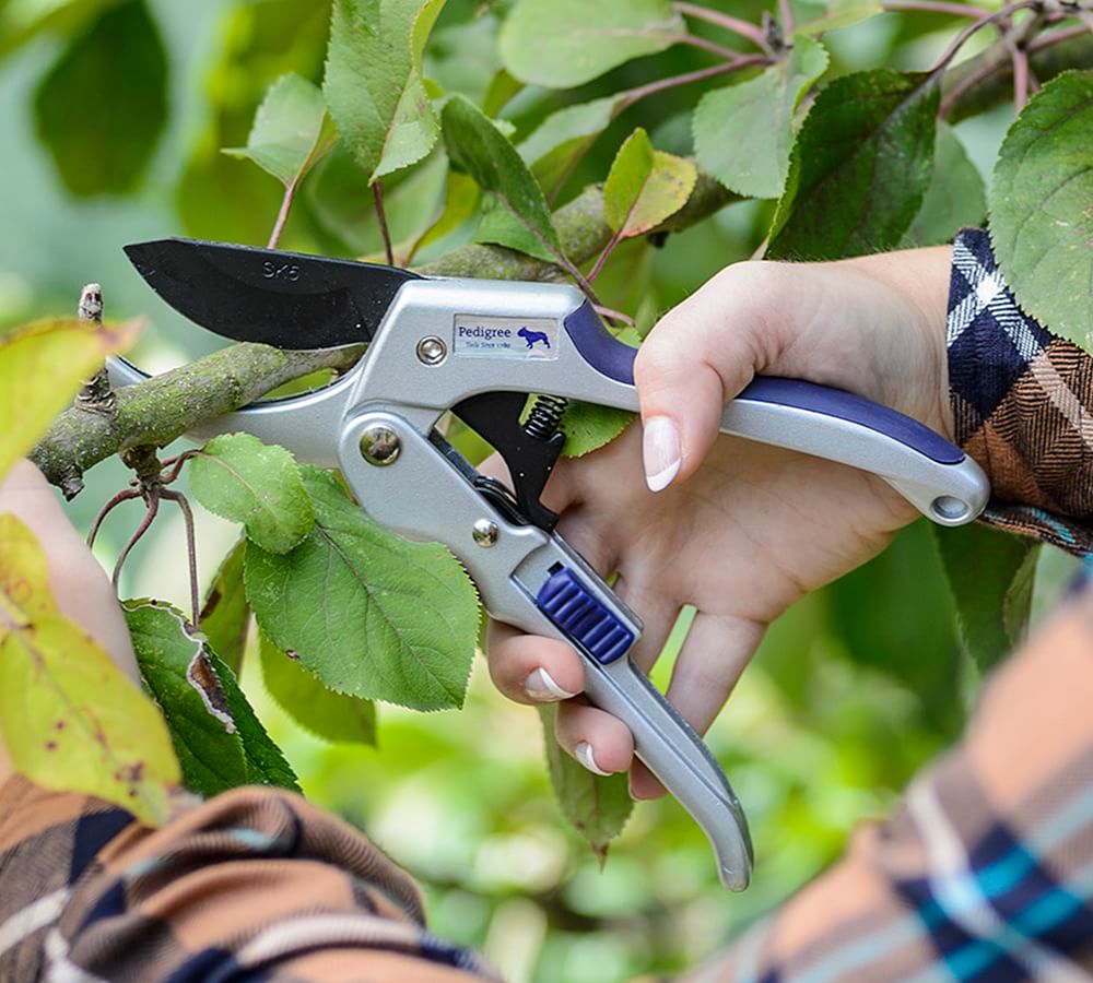 Bypass Pruner Shear (Pedigree)