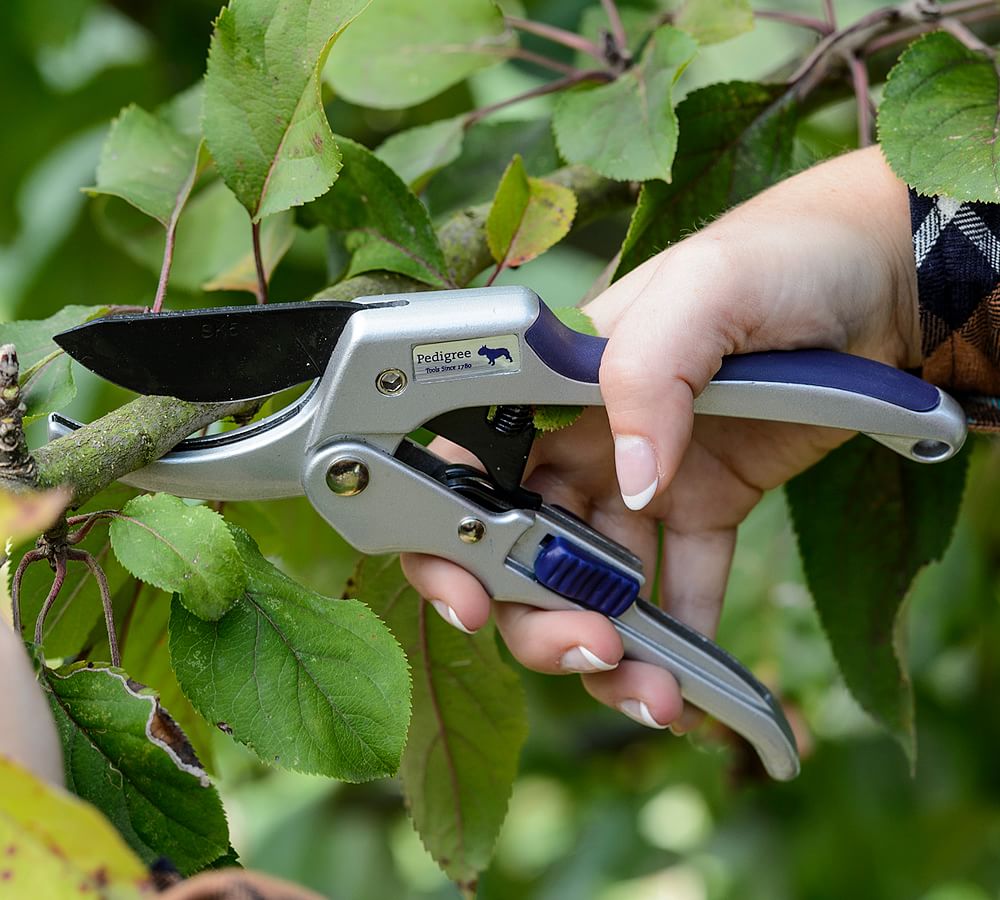 https://assets.pbimgs.com/pbimgs/ab/images/dp/wcm/202317/0107/gardening-shears-1-l.jpg