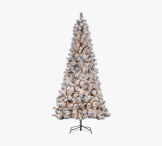 Lit Flocked Boise Pine Faux Christmas Trees Pottery Barn