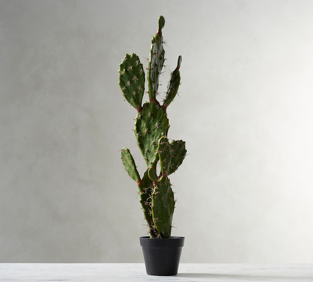 Faux Potted Opuntia Cactus Pottery Barn