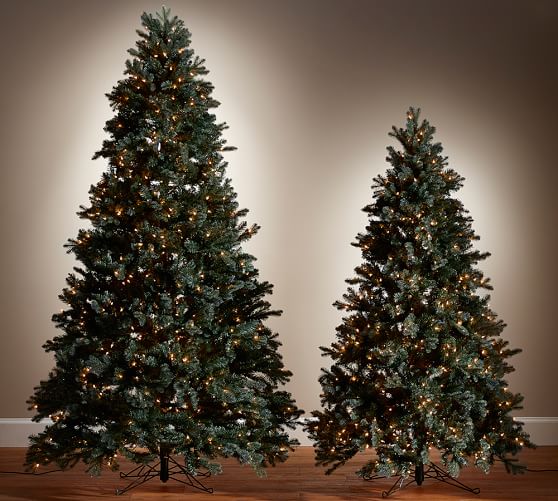 Lit Faux Blue Spruce Christmas Trees Pottery Barn