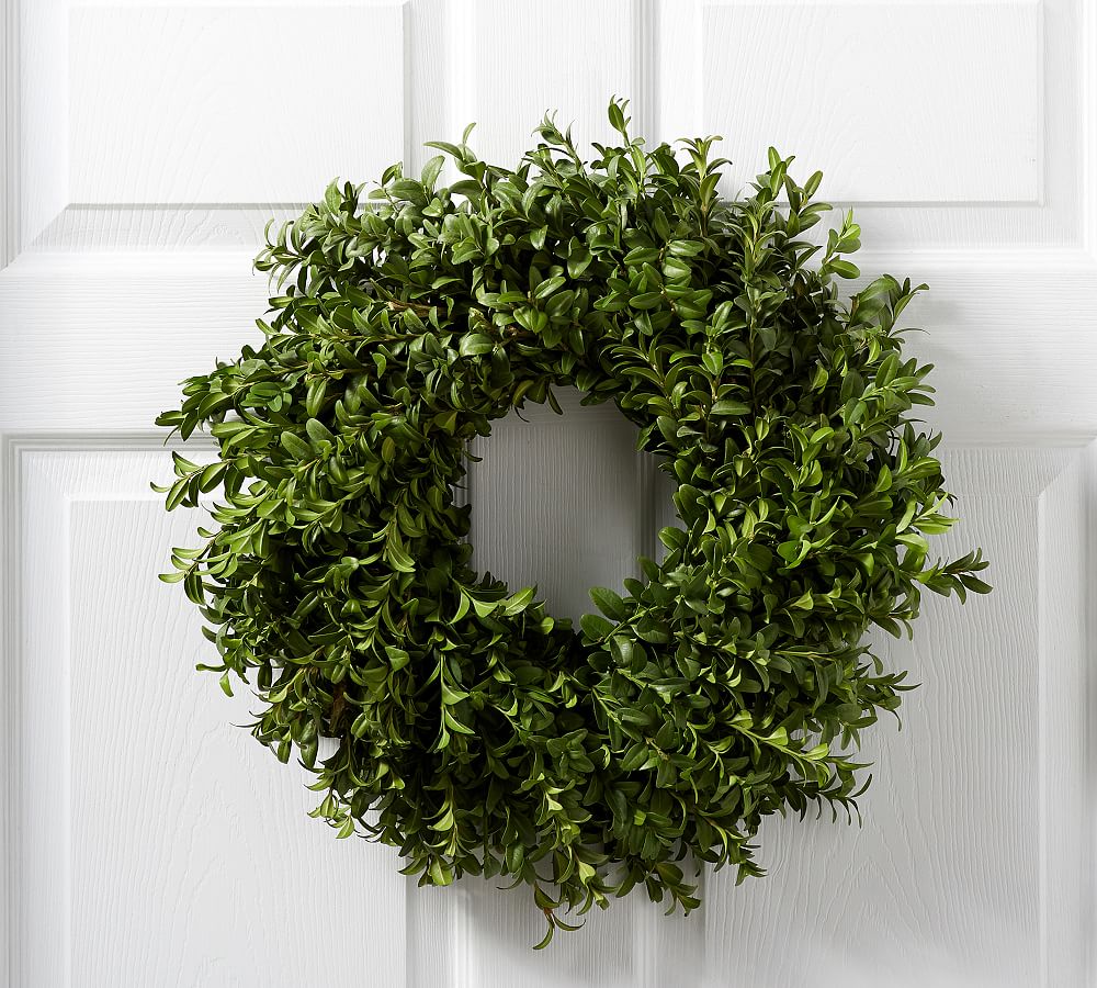 Fresh Boxwood Wreath Pottery Barn
