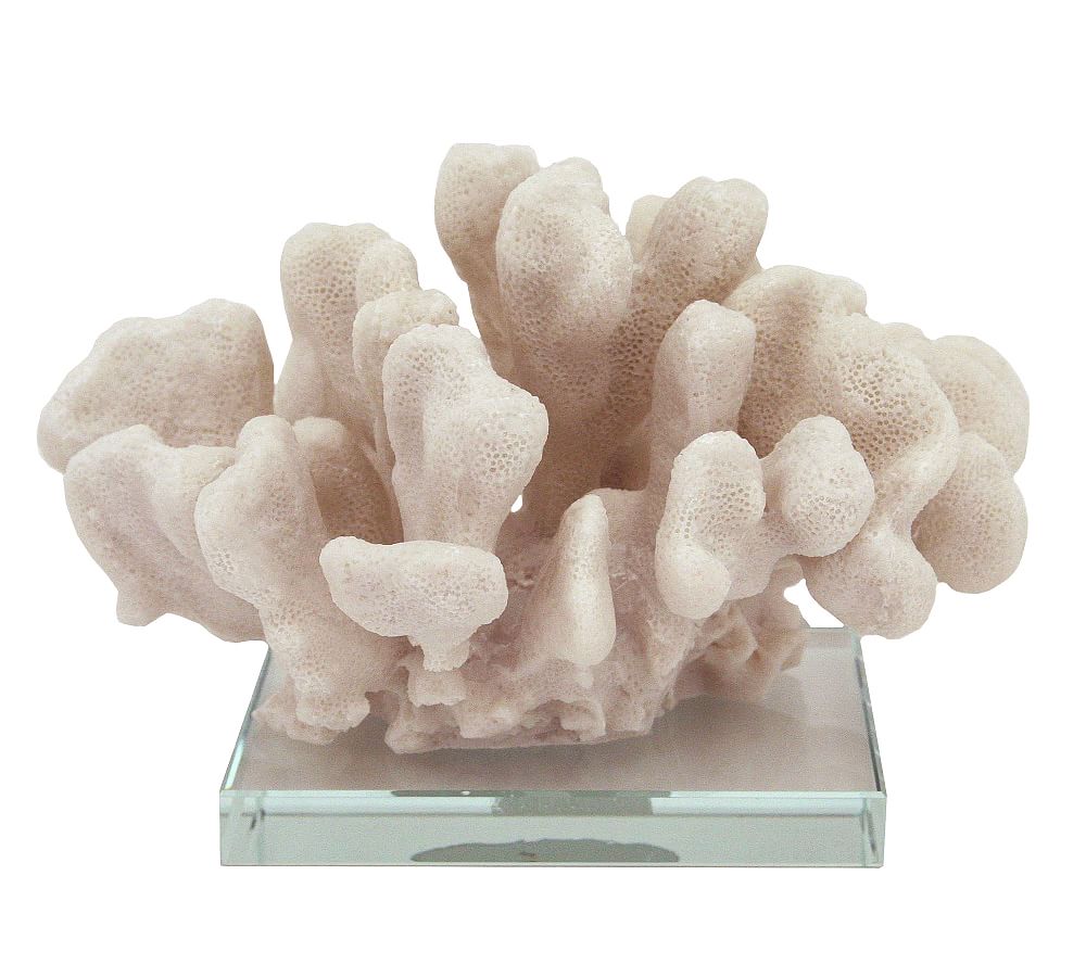 White Pocillopora Coral on Clear Glass Base