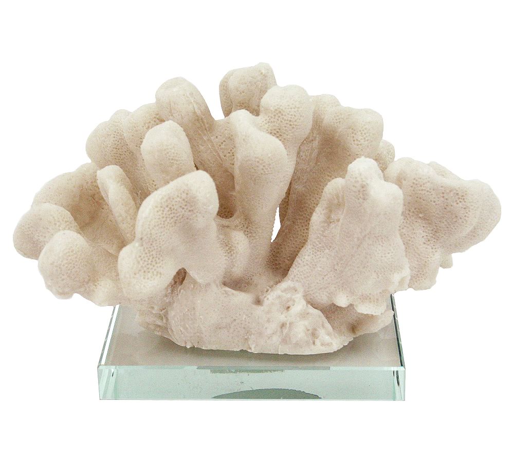 White Pocillopora Coral on Clear Glass Base
