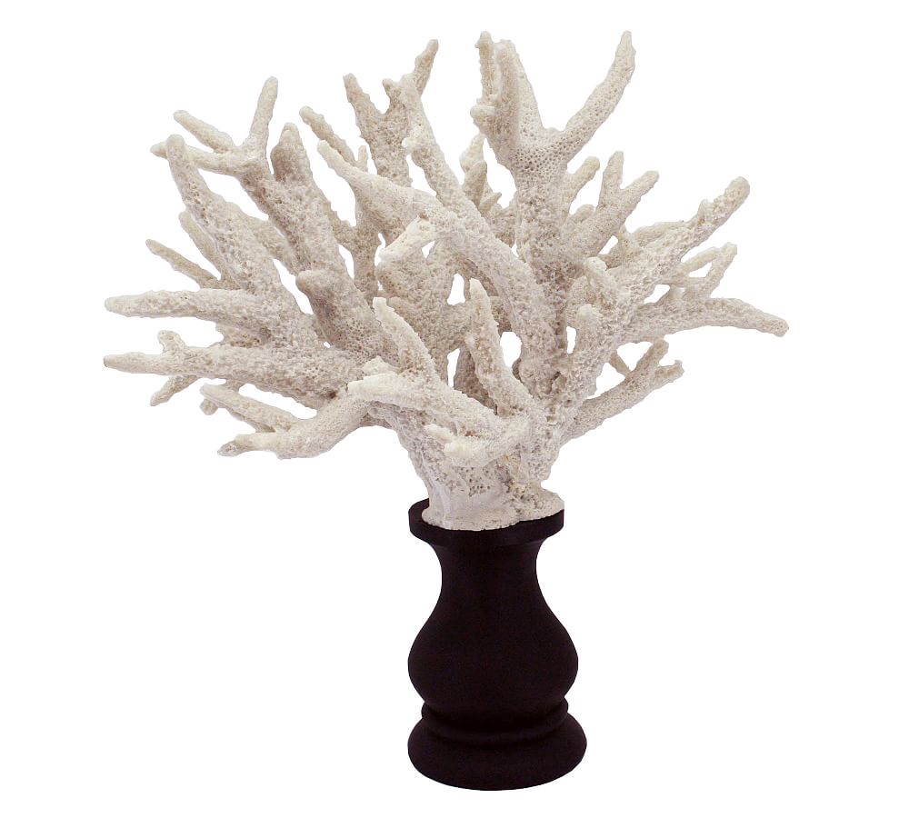 Branching Coral With Clear Glass Base