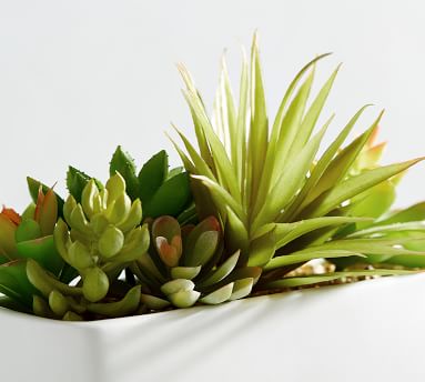 Faux Succulent Arrangement | Pottery Barn