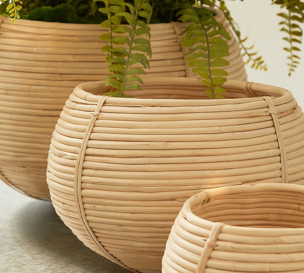 Cane Rattan Footed Bowls Pottery Barn