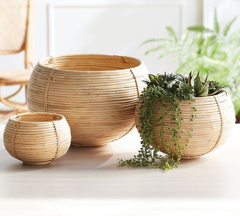 Cane Rattan Footed Bowls Pottery Barn