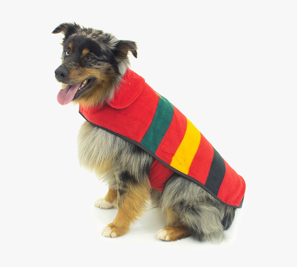 pendleton dog fleece