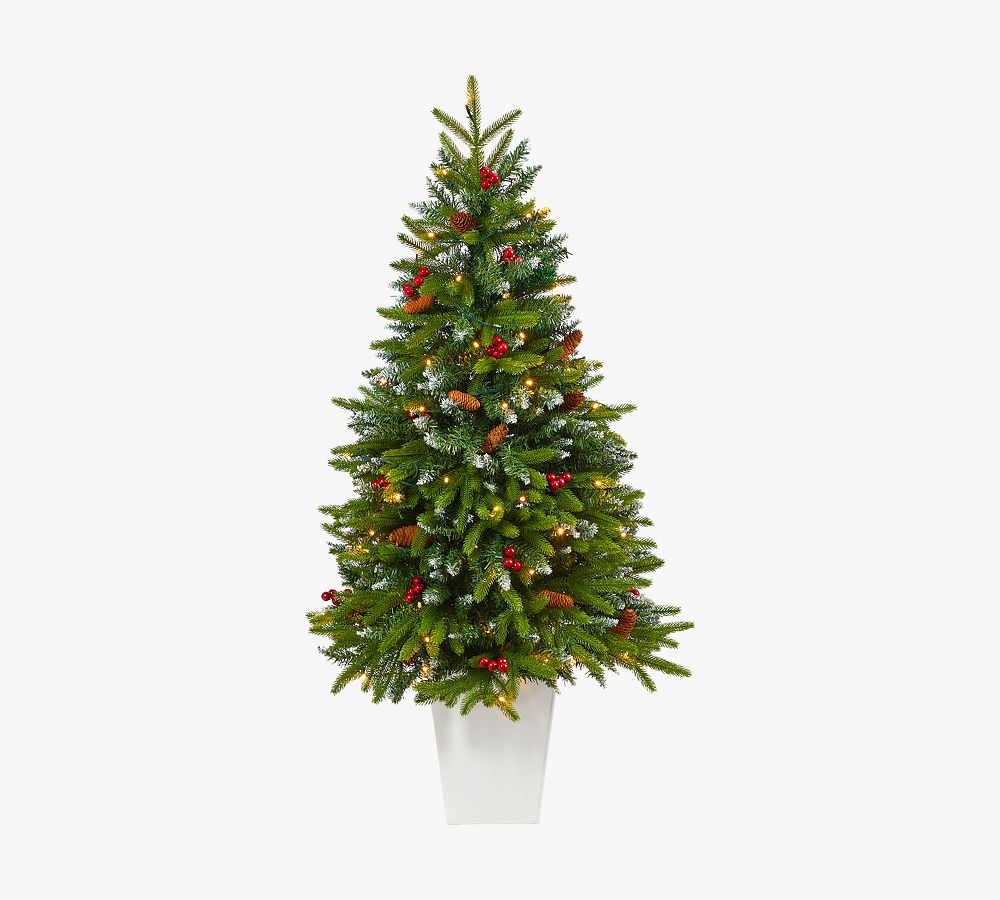 Potted Snow Tipped Portland Spruce Artificial Christmas Tree