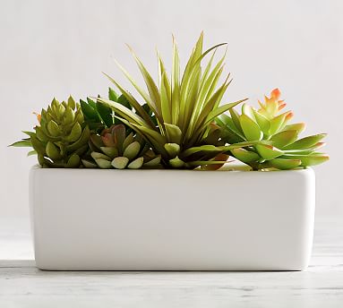 Faux Succulent Arrangement | Pottery Barn