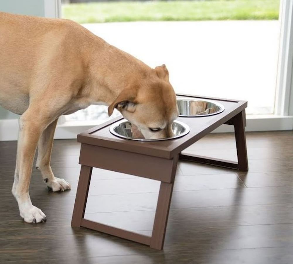 Elevated Dog Bowls for Large Dogs - Raised Dog Bowl with 8 Adjustable  Heights (2.75'' - 20''), Dog Feeding Station with 2 Stainless Steel Dog  Bowls