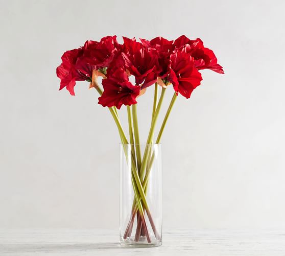 Faux Amaryllis Stem | Pottery Barn